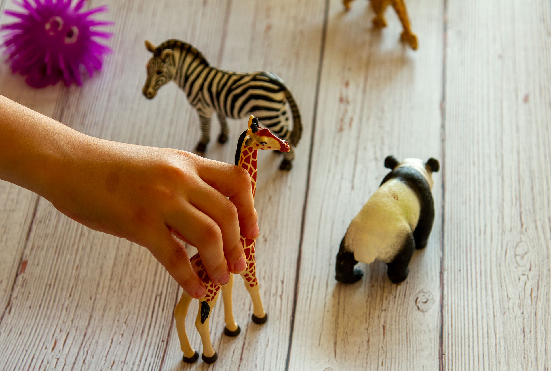 Close up image of a kid's hands as she plays with toy animal figures on a wooden bench. She places, moves and does voice over with animals according to the story she makes up.